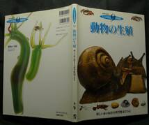 【超希少】【美品】古本　動物の生殖　しくみ発見博物館９　新しい命の始まりを模型断面でみる　文：ディヴィッド・バーニー　丸善(株)_画像2