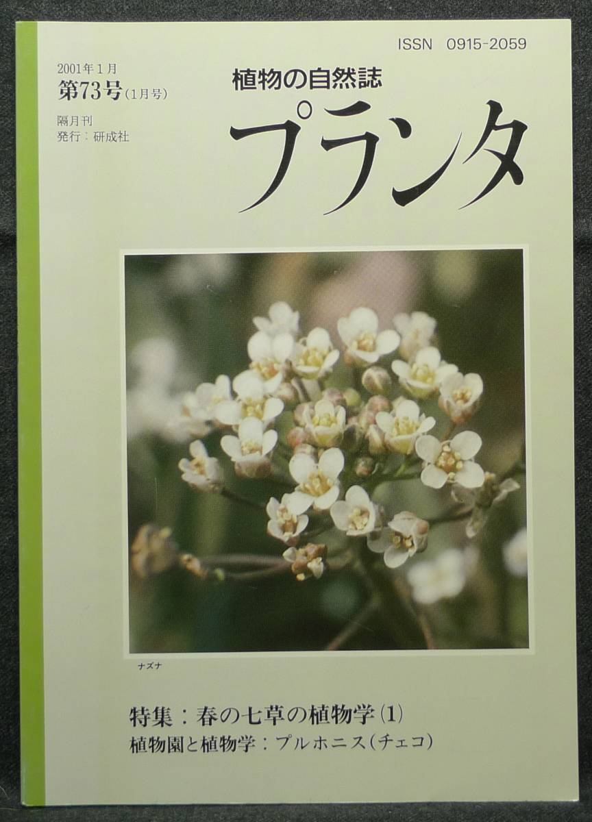 2023年最新】Yahoo!オークション -#春の七草の中古品・新品・未使用品一覧