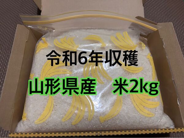 令和6年収穫 山形県産米2kg