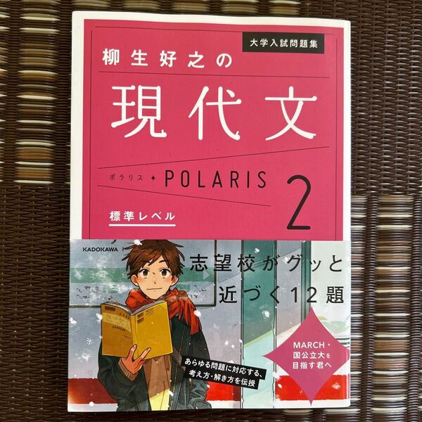 大学入試問題集柳生好之の現代文ポラリス 2 (大学入試問題集) 柳生好之/著
