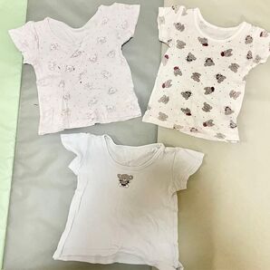 西松屋 ベビー 半袖肌着 Tシャツ 動物 コアラ tシャツ 80 3枚 セット インナー キッズ