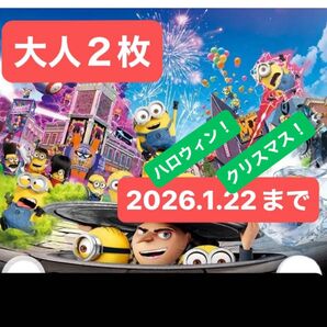 USJ ユニバーサルスタジオジャパン パートナーフリーパス チケット 大人2枚 未使用 ミニオン ドラえもん ハリポタ
