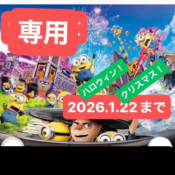USJ ユニバーサルスタジオジャパン パートナーフリーパス チケット 大人1枚 未使用 ミニオン ドラえもん ハリポタ