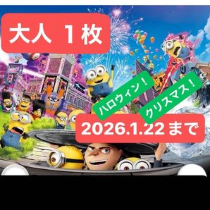 USJ ユニバーサルスタジオジャパン パートナーフリーパス チケット 大人1枚 未使用 ミニオン ドラえもん ハリポタ
