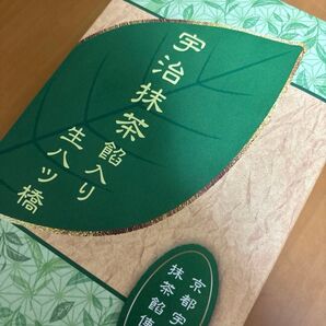 〈値下げ→900円!〉京都宇治産の抹茶餡使用!東山八ツ橋本舗 宇治抹茶餡入 生八ツ橋 9コ入り 賞味期限2025/5/23