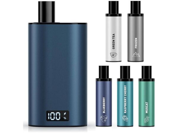 電子タバコ フレーバー5種付き シーシャ vape 25,000回 ポッド交換式 べイプ 使い捨てカートリッジ 充電可能 禁煙