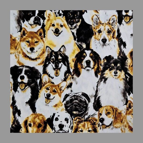 1m オックス生地 リアル犬 犬柄 カラー