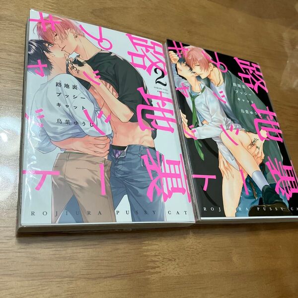 路地裏プッシーキャット 1.2/鳥葉ゆうじ BL漫画 全巻