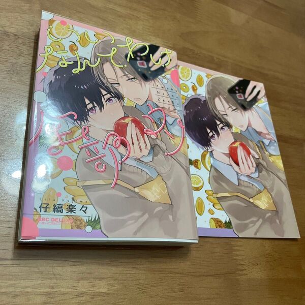 いいわけなんて全部ウソ 仔縞楽々 BL漫画 アニメイト特典付