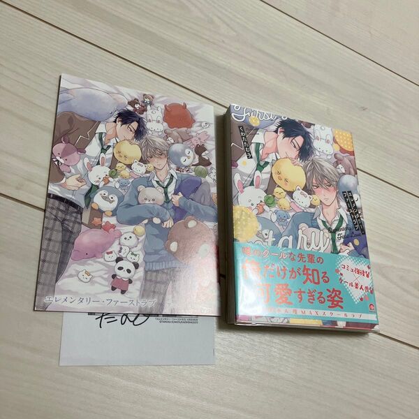 エレメンタリーファーストラブ くわたたむ子 BL漫画 アニメイト4Pリーフレット、ペーパー付き