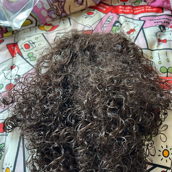 つけ毛、ウィッグカーリーヘアー