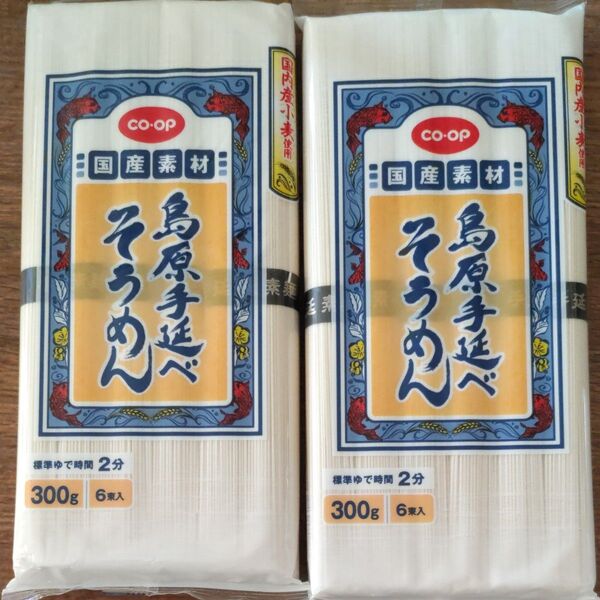 手延素麺 そうめん 乾麺 素麺 300g×2セット