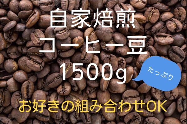 《注文後焙煎》自家焙煎コーヒー豆1500g (お好きな組み合わせOK!)