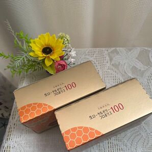(未開封)エバーライフ生ローヤルゼリープロポリス100 2箱 定価1箱5000円