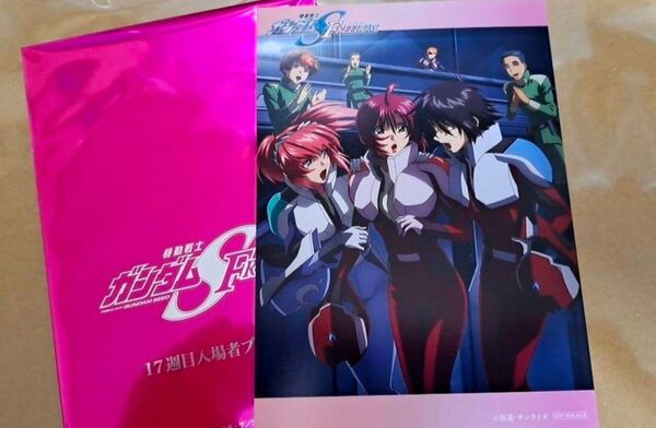 映画 機動戦士ガンダム SEED FREEDOM 入場者特典 17弾 アフターカットポストカード ルナマリア/シン/アグネス