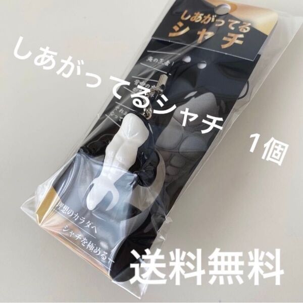 【新品】しあがってるシャチ キーホルダー ストラップ 水族館 計1個