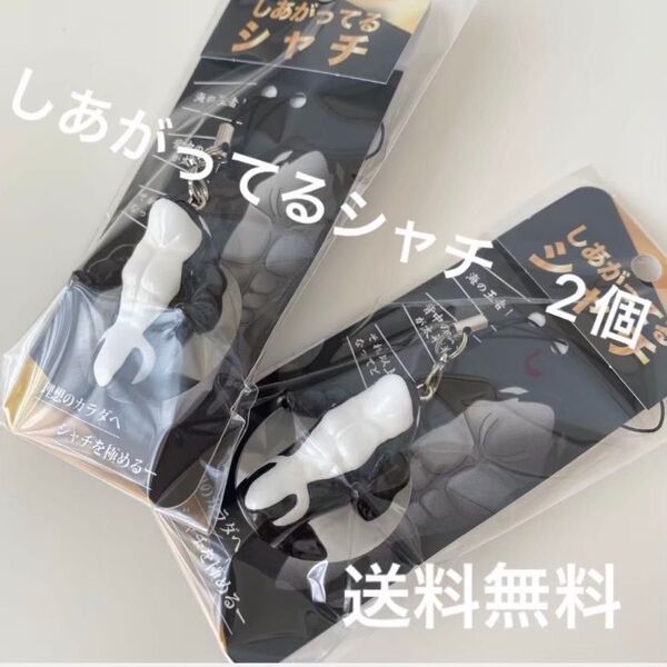 【新品】しあがってるシャチ キーホルダー ストラップ 水族館 岩本照 須磨シーワールド 計2個