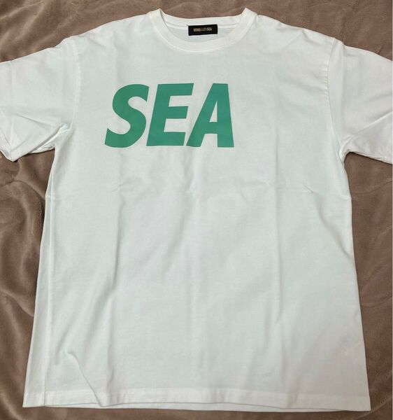 WIND AND SEA SEA S/S T-SHIRT White Mint