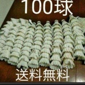 野球 練習 バドミントンシャトル 100球
