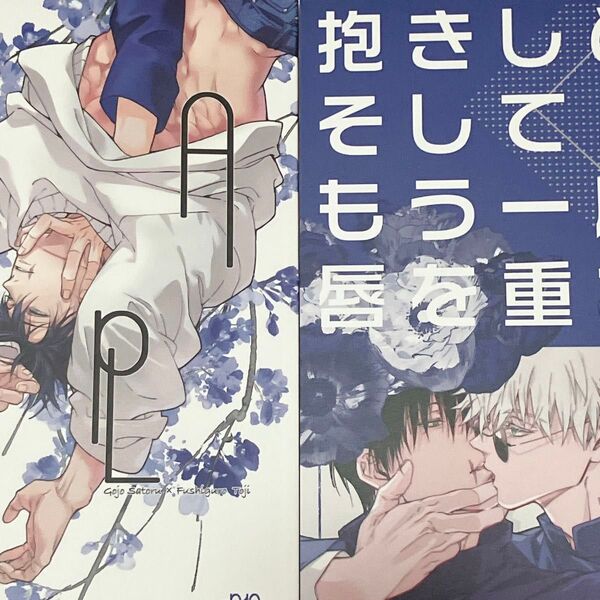呪術廻戦 同人誌 五甚 のんべんだらり研究所 卅 2冊セット