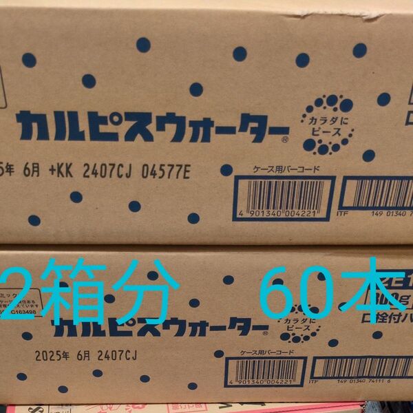カルピスウォーター 300グラム 30本 2箱セット 計60本