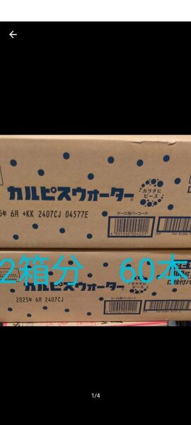 カルピスウォーター 口栓パウチ 2箱分 60本 まとめ売り