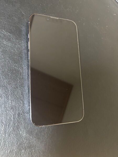 iPhone13pro シエラブルー