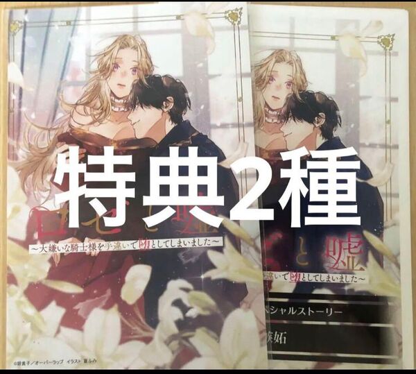 ロゼと嘘 特典のみ 2種