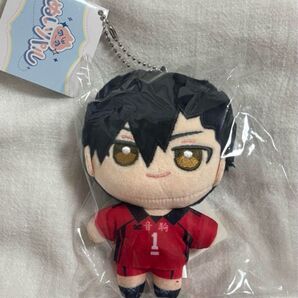 ハイキュー!! ぬいパル 黒尾鉄朗