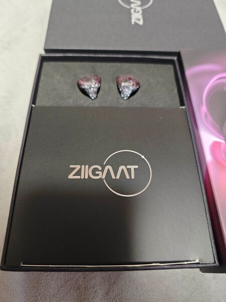 ziigaat odyssey 有線イヤホン
