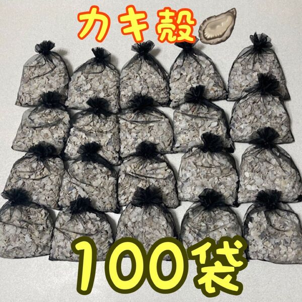 牡蠣殻 100袋 アクアリウム ろ材 メダカ 金魚 鯉 カメ