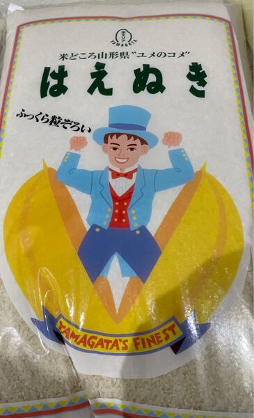 山形県 令和6年度産 はえぬき 10kg