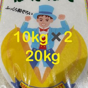 山形県 令和6年度産 はえぬき 20kg (10kg × 2)