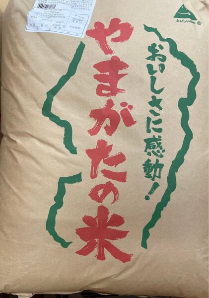 令和6年度産 山形県産 はえぬき 30kg 玄米