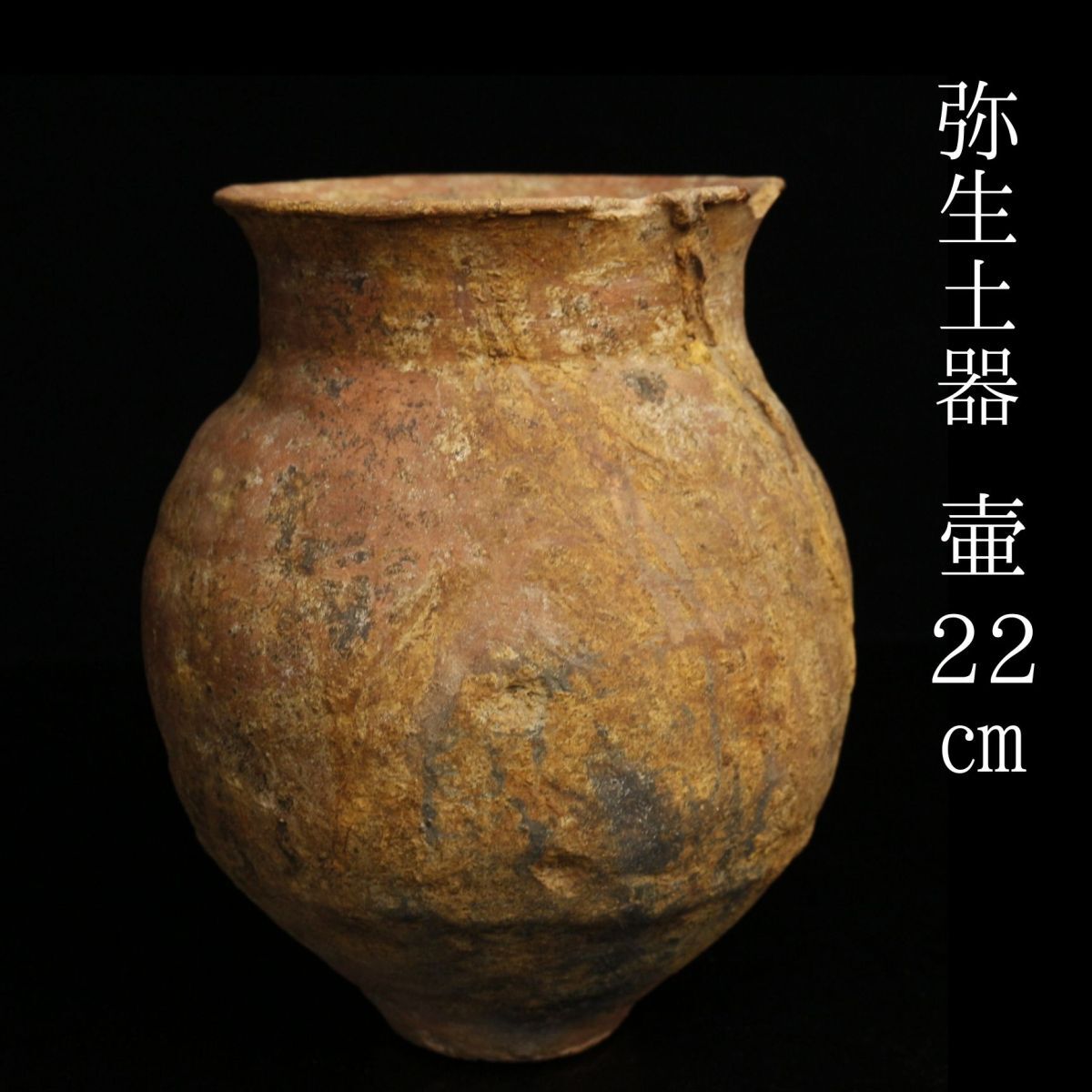 Amazon.co.jp: 【中古】 合本 土師式土器集成 本編 ＜上下巻