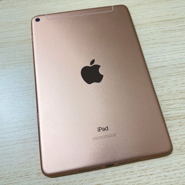 【訳アリ】Apple iPad mini 5世代 64GB Wi-Fi+Cellular