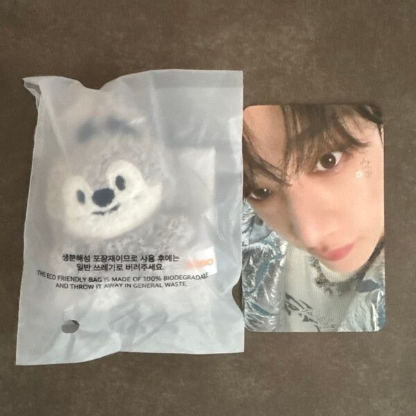StrayKids スキズ SKZOO micro wolfchan バンチャン SKZOO KEYRING MICRO