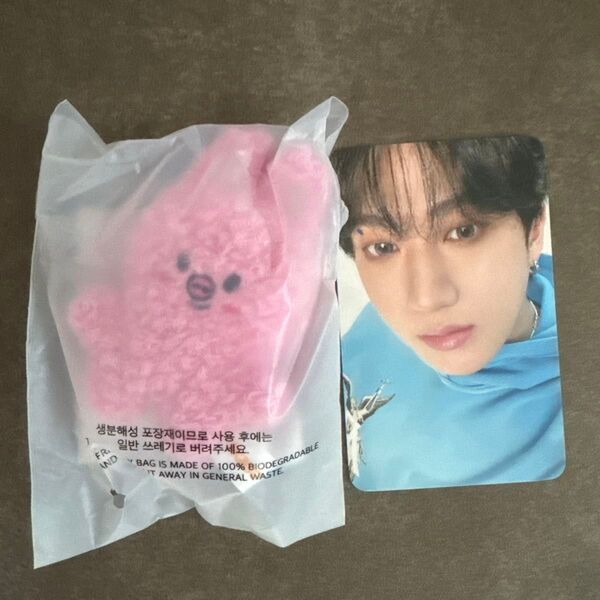 StrayKids スキズ SKZOO micro トェッキ チャンビン SKZOO KEYRING MICRO
