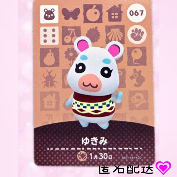 あつまれどうぶつの森 amiiboカード あつ森 Nintendo 任天堂 カード アミーボカード Switchゲーム カード