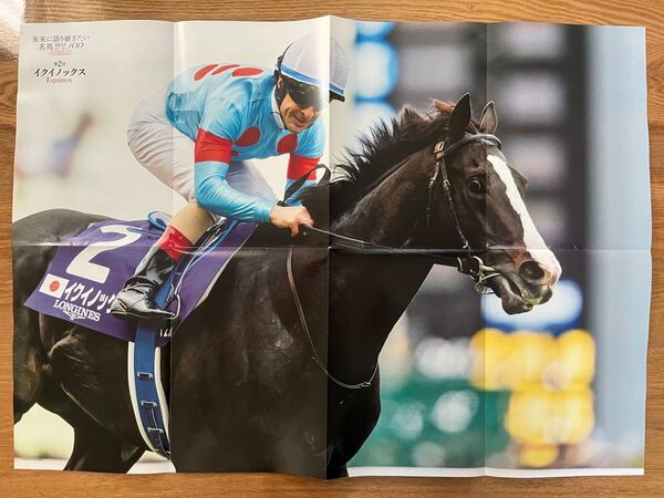 イクイノックス ディープインパクト 両面ポスター 表裏 競馬 優駿 雑誌 付録 サラブレ