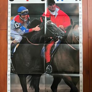 シガー ホクトベカ 両面ポスター 競馬 サラブレ 雑誌 付録