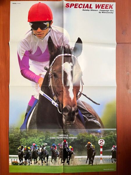 スペシャルウィーク ポスター 天皇賞春 競馬 サラブレ 雑誌 付録