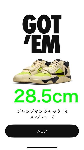 Travis Scott × Nike Jordan Jumpman Jack TR CJ1 T-Rexx 28.5cm
