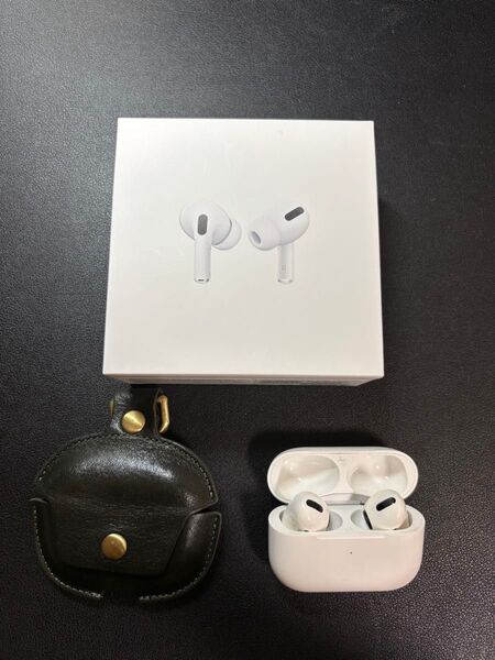 Apple AirPods Pro 第一世代 + Dom Teporna ケース (グリーン)