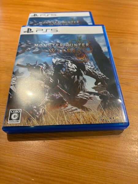 PS5 モンスターハンターワイルズ