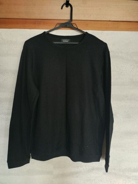 ZARA カットソー