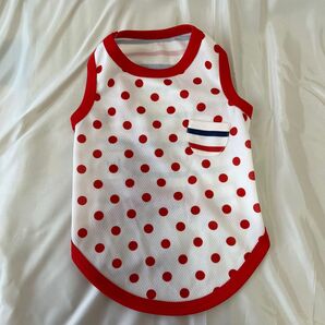 RADICA ペットウェア Mサイズ メッシュ素材 ドット ボーダー 赤