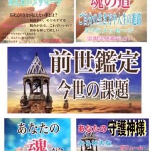 守護神/ハイヤーセルフ/前世と前世の影響今世の課題 人生目的ボリューム 霊視