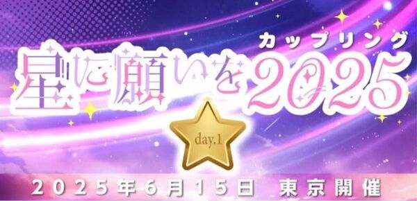 【送料込み】6/15 星に願いを 2025 day1 サークルチケット 東京ビッグサイト サーチケ サークルpass 赤ブー