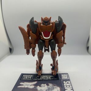 タスマニアキッド トランスフォーマー レガシー
